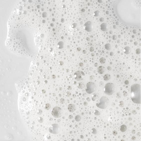 BellaDonna lvl. 3 x4